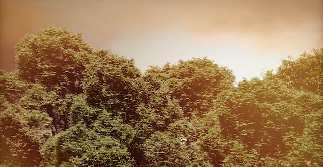 REVISION 2025 Background